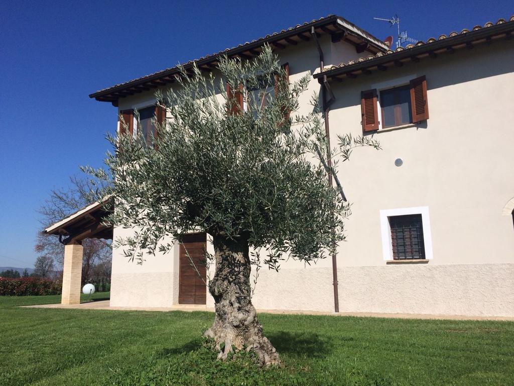 Podere Le Volte Degli Angeli Spello Kültér fotó