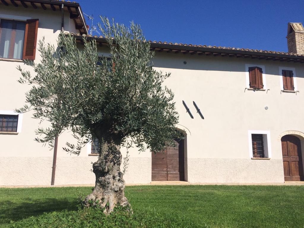 Podere Le Volte Degli Angeli Spello Kültér fotó