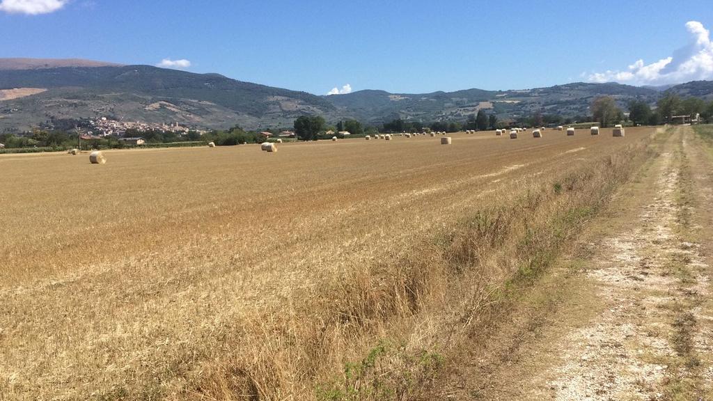 Podere Le Volte Degli Angeli Spello Kültér fotó